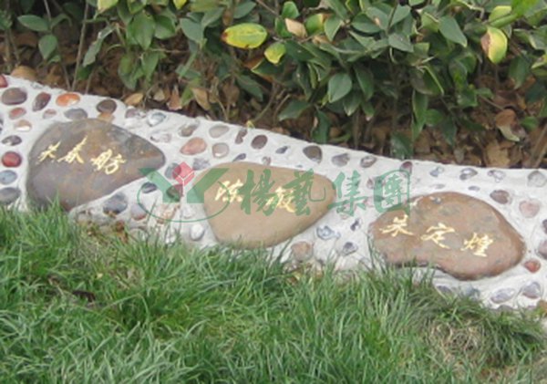 Ezpay钱包 -轻松支付,放心选择