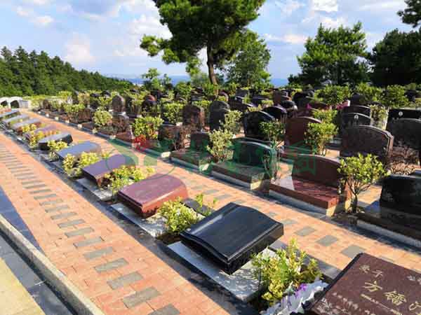 Ezpay钱包 -轻松支付,放心选择