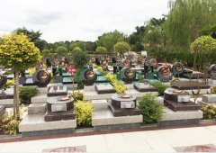 上；；懔靶腔鹎