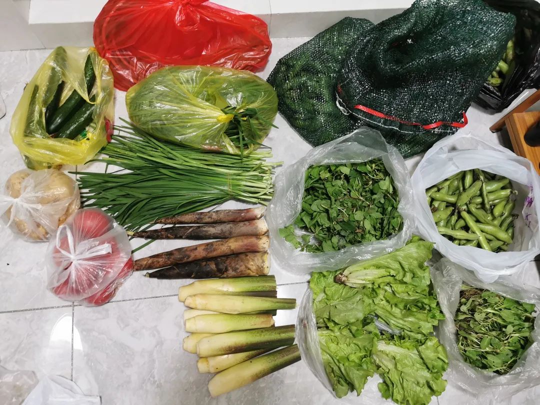 Ezpay钱包 -轻松支付,放心选择