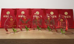 “Ezpay钱包杯”浙江省节地生态埋葬设计作品奖