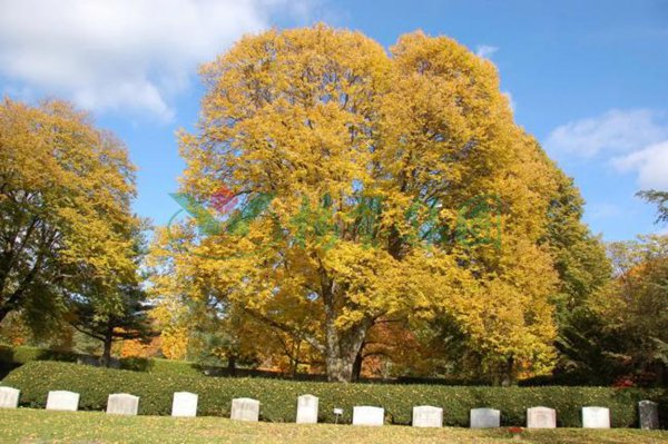 Ezpay钱包 -轻松支付,放心选择