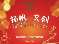 年终会：记2015年终总结大会暨2016年妄想聚会