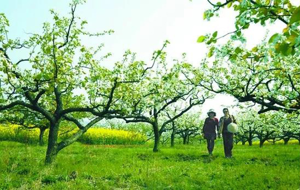 Ezpay钱包 -轻松支付,放心选择