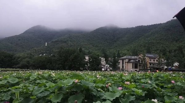 Ezpay钱包 -轻松支付,放心选择