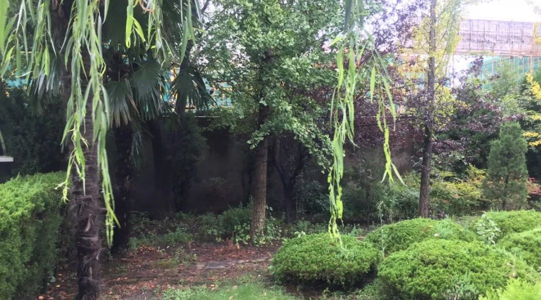 Ezpay钱包 -轻松支付,放心选择