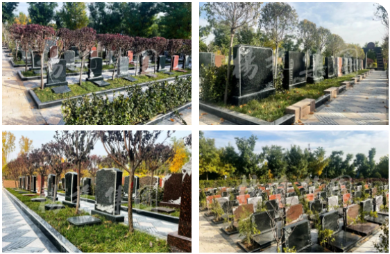 Ezpay钱包 -轻松支付,放心选择