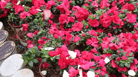 Ezpay钱包 -轻松支付,放心选择