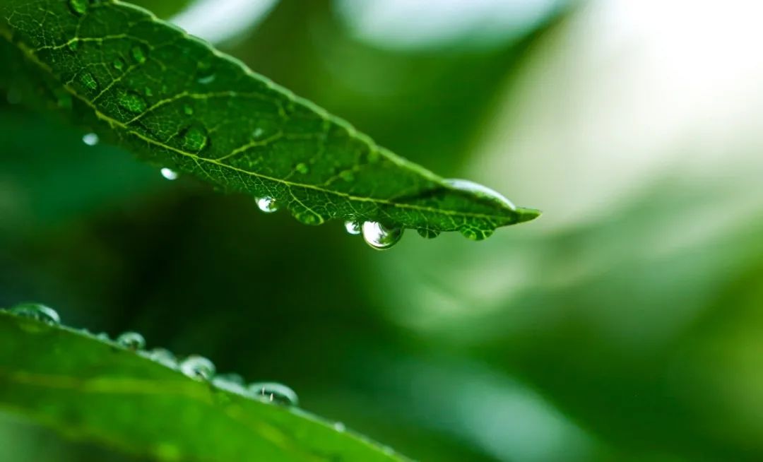 Ezpay钱包 -轻松支付,放心选择