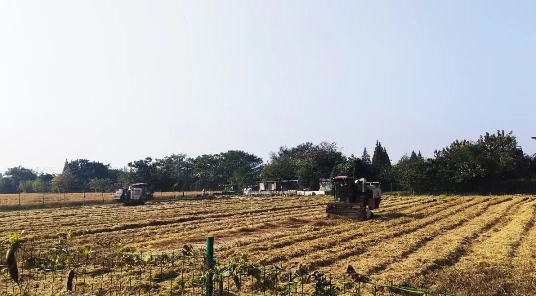 Ezpay钱包 -轻松支付,放心选择