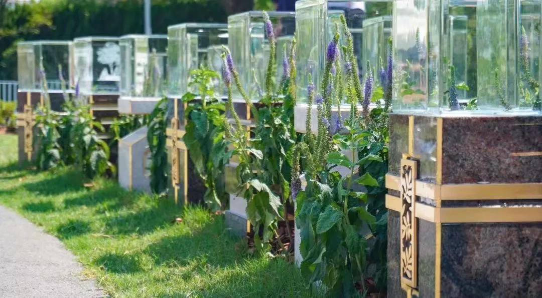 Ezpay钱包 -轻松支付,放心选择