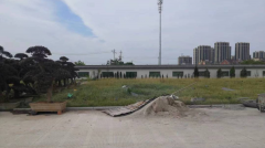 老墓园微刷新，助力都会人文眷注