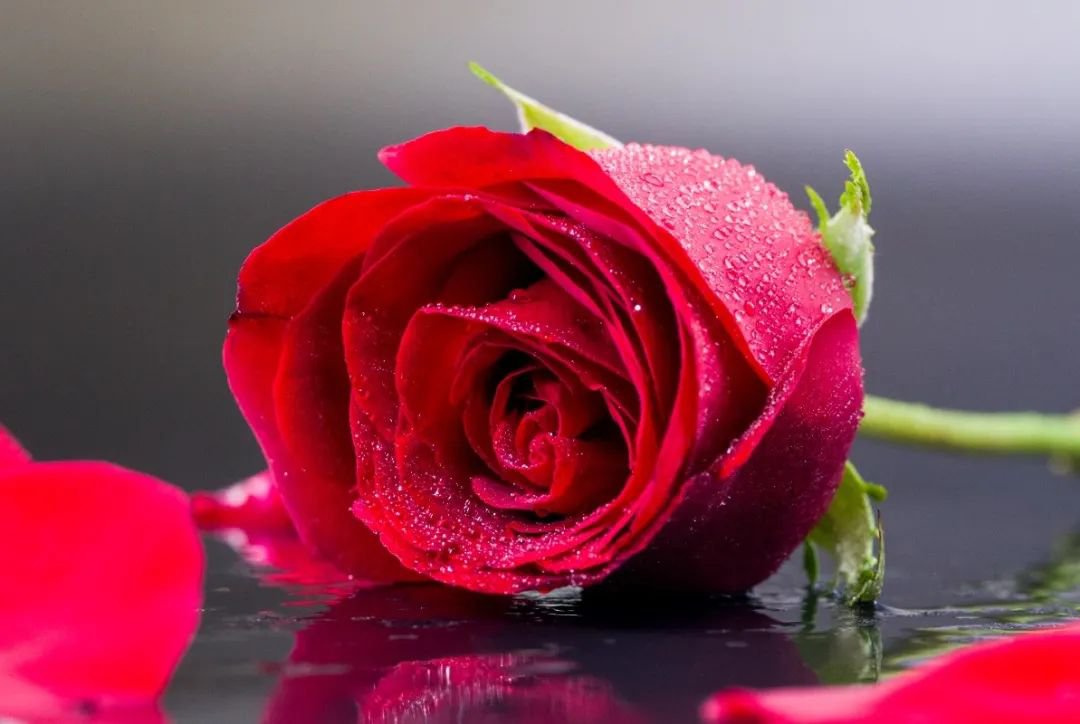 Ezpay钱包 -轻松支付,放心选择