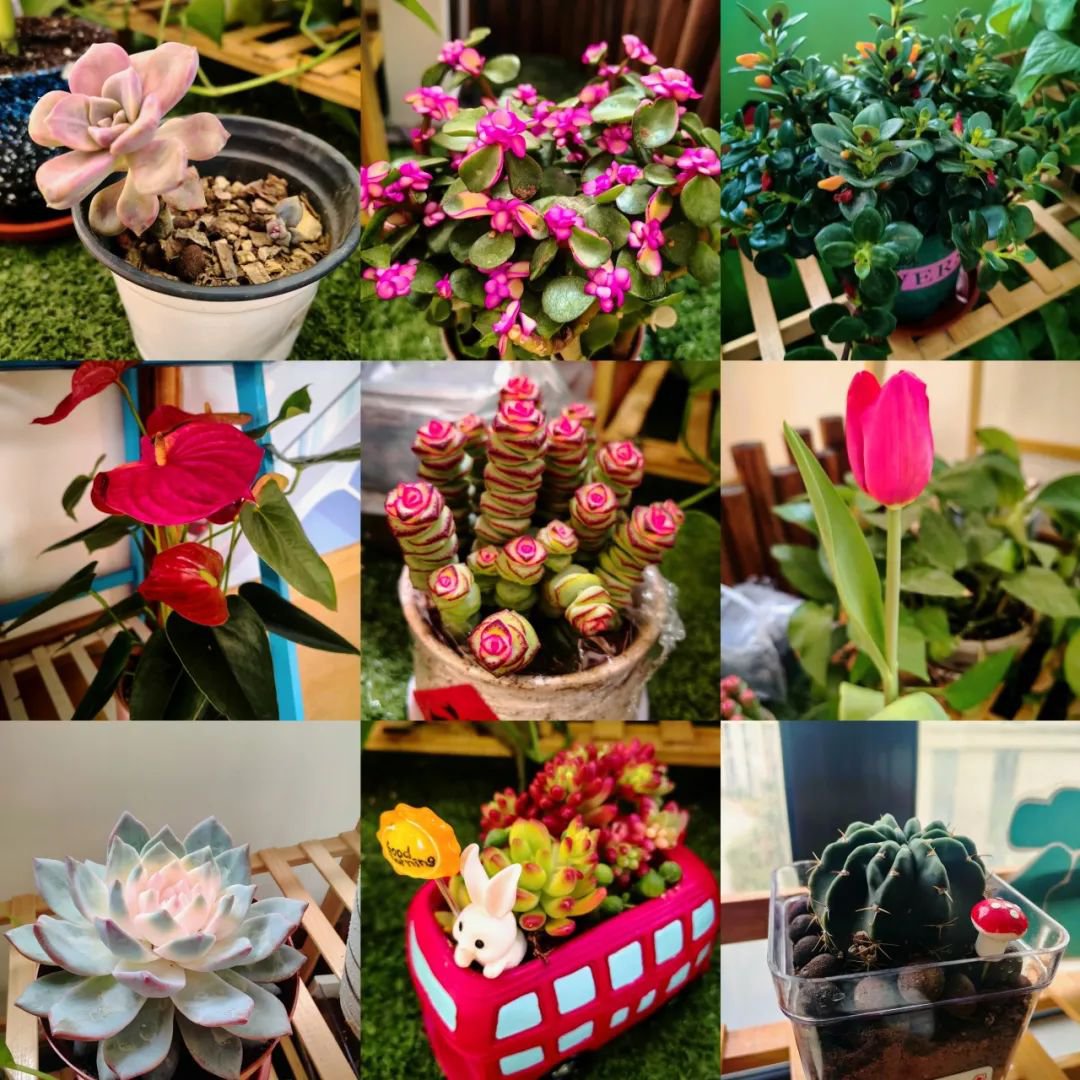 Ezpay钱包 -轻松支付,放心选择