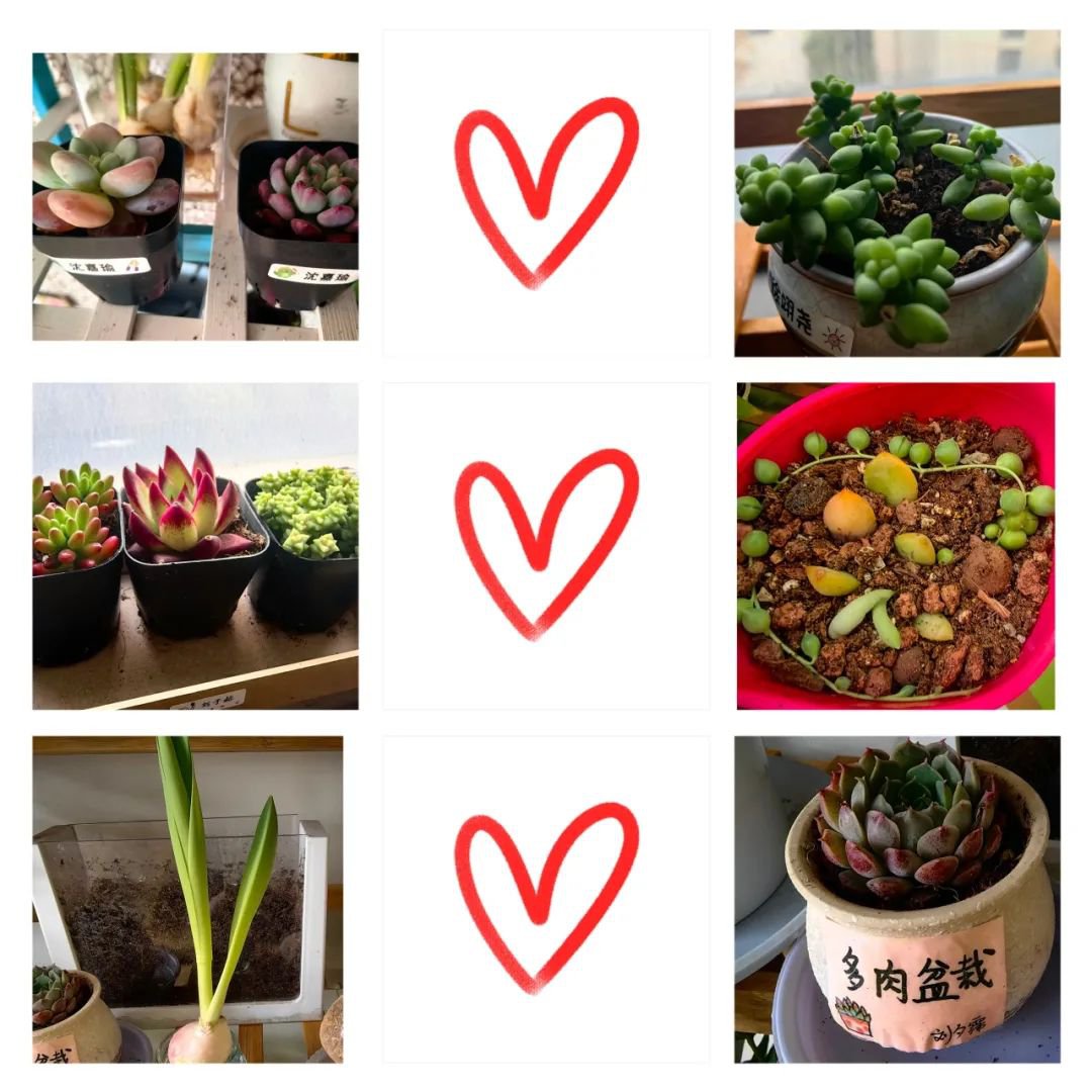 Ezpay钱包 -轻松支付,放心选择