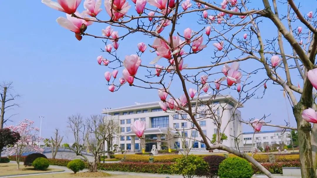 Ezpay钱包 -轻松支付,放心选择