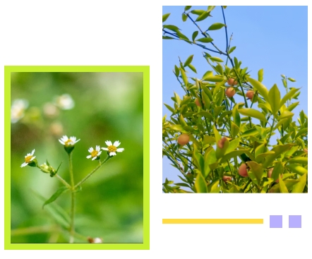 Ezpay钱包 -轻松支付,放心选择