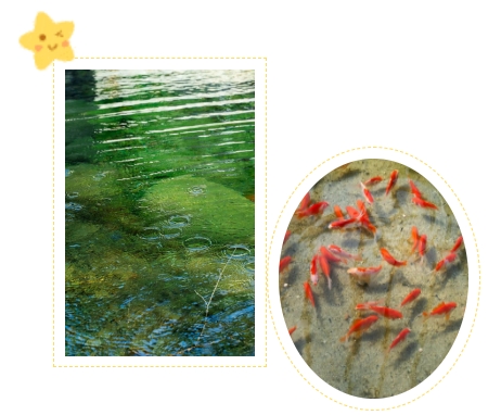 Ezpay钱包 -轻松支付,放心选择