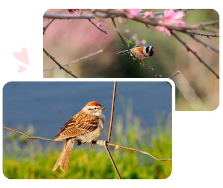 Ezpay钱包 -轻松支付,放心选择