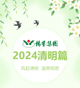 风起清明 遥寄相思|Ezpay钱包集团?2024清明篇
