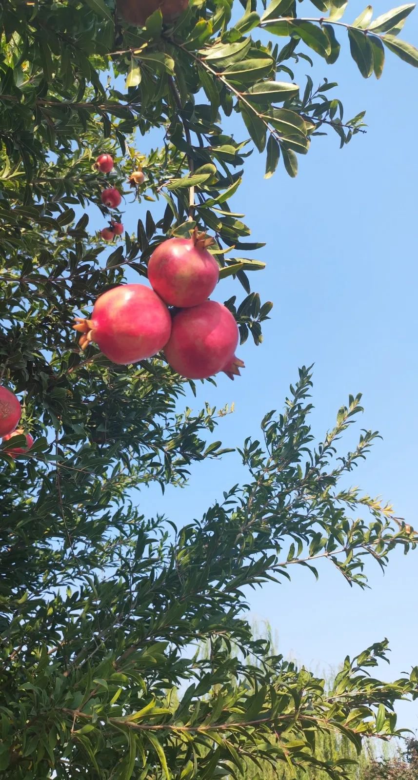 Ezpay钱包 -轻松支付,放心选择