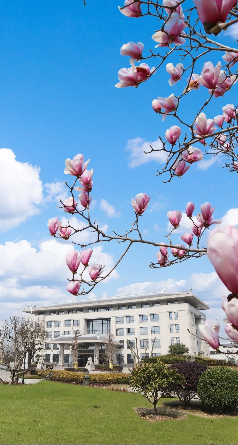 Ezpay钱包 -轻松支付,放心选择