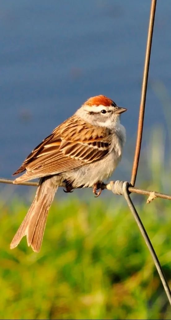Ezpay钱包 -轻松支付,放心选择
