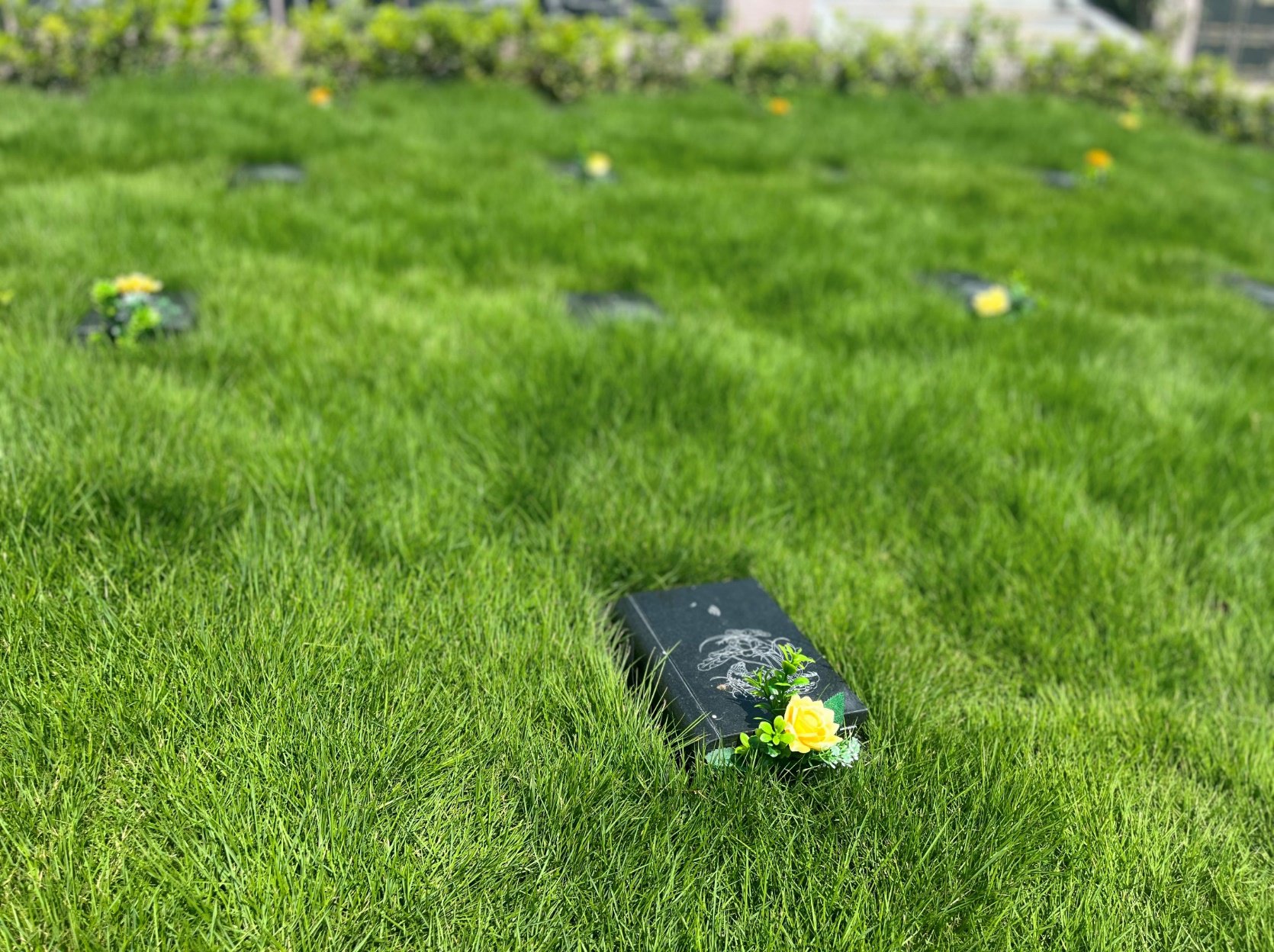 Ezpay钱包 -轻松支付,放心选择