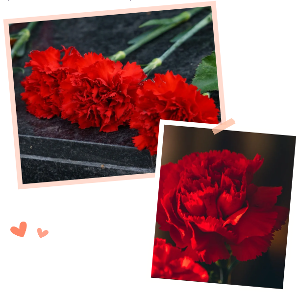 Ezpay钱包 -轻松支付,放心选择