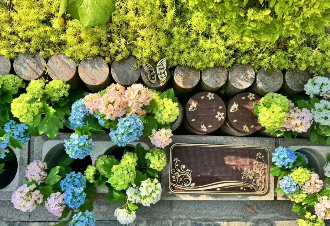 Ezpay钱包 -轻松支付,放心选择