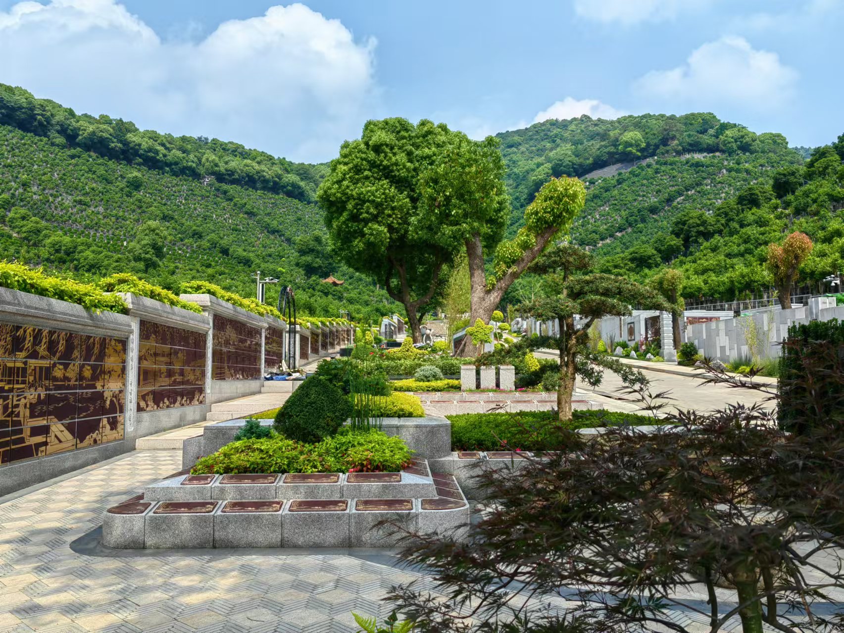 引领绿色生态新民俗，，共筑生命协调家园