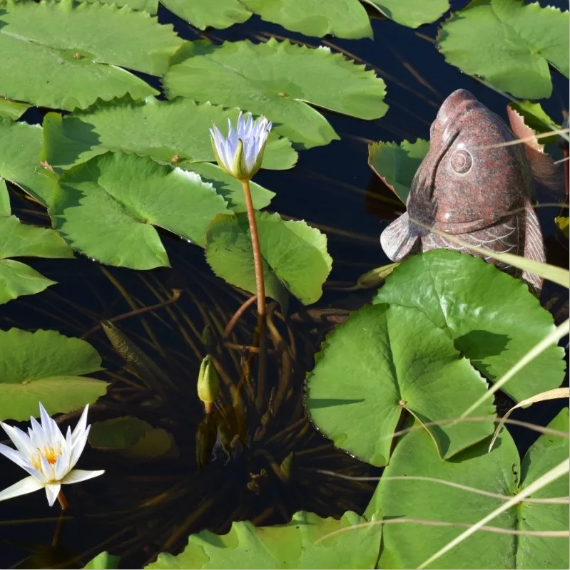 Ezpay钱包 -轻松支付,放心选择