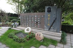 致敬“平安卫士”，铭刻“刑警之魂”