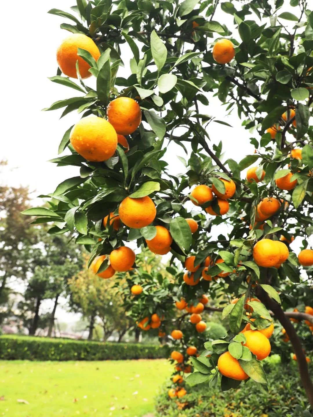 Ezpay钱包 -轻松支付,放心选择