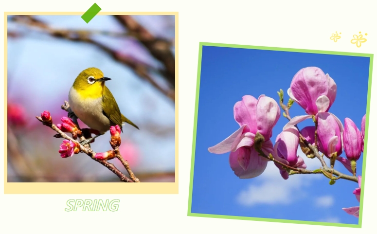 Ezpay钱包 -轻松支付,放心选择