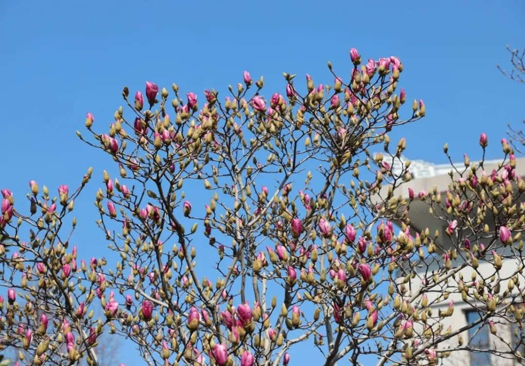 Ezpay钱包 -轻松支付,放心选择