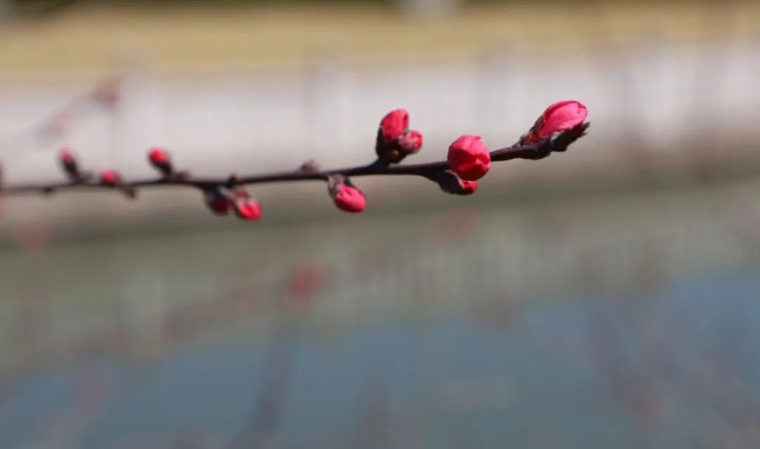 Ezpay钱包 -轻松支付,放心选择