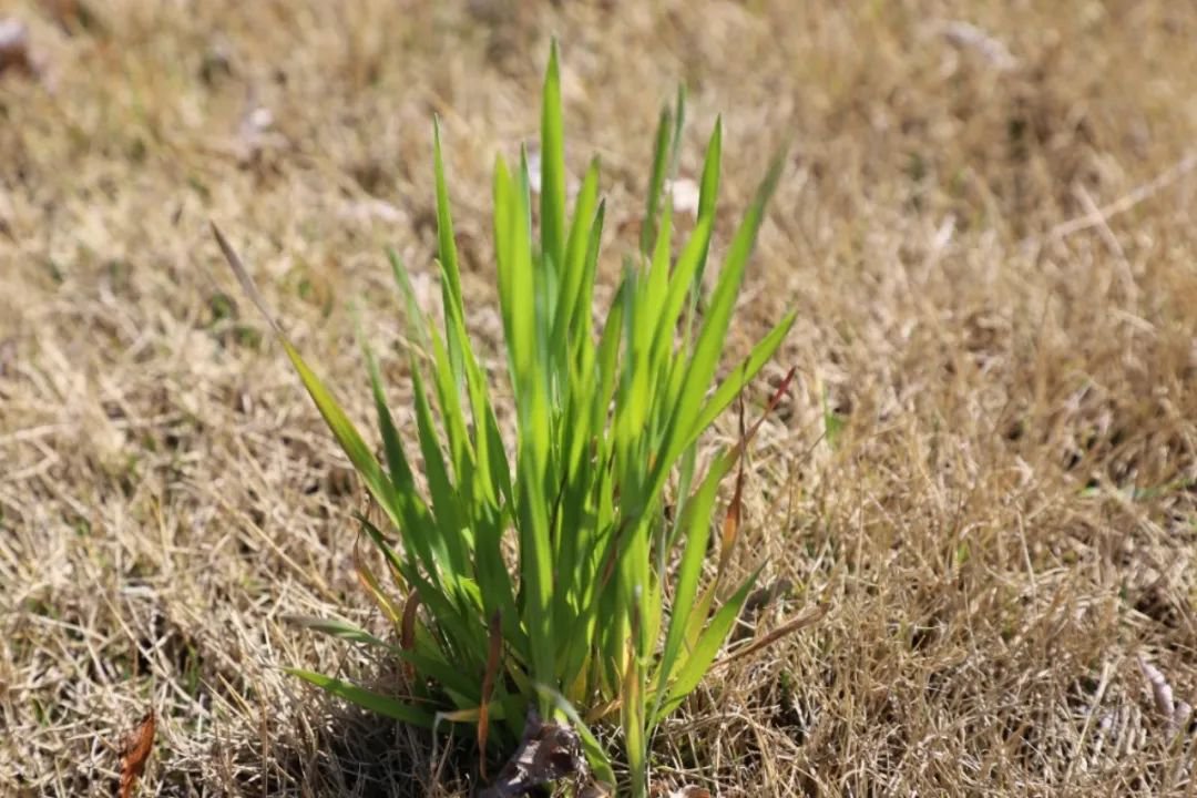 Ezpay钱包 -轻松支付,放心选择