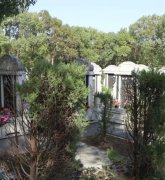 绿色生态葬：：文明赓续的绿色选择