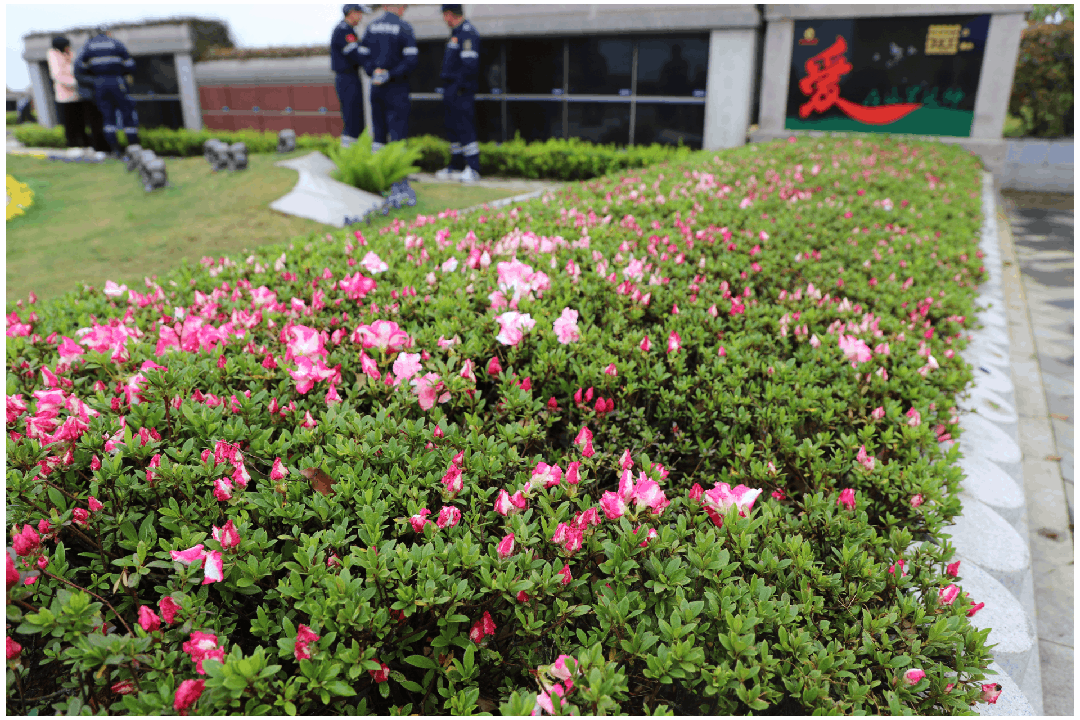 Ezpay钱包 -轻松支付,放心选择