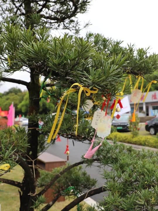 Ezpay钱包 -轻松支付,放心选择