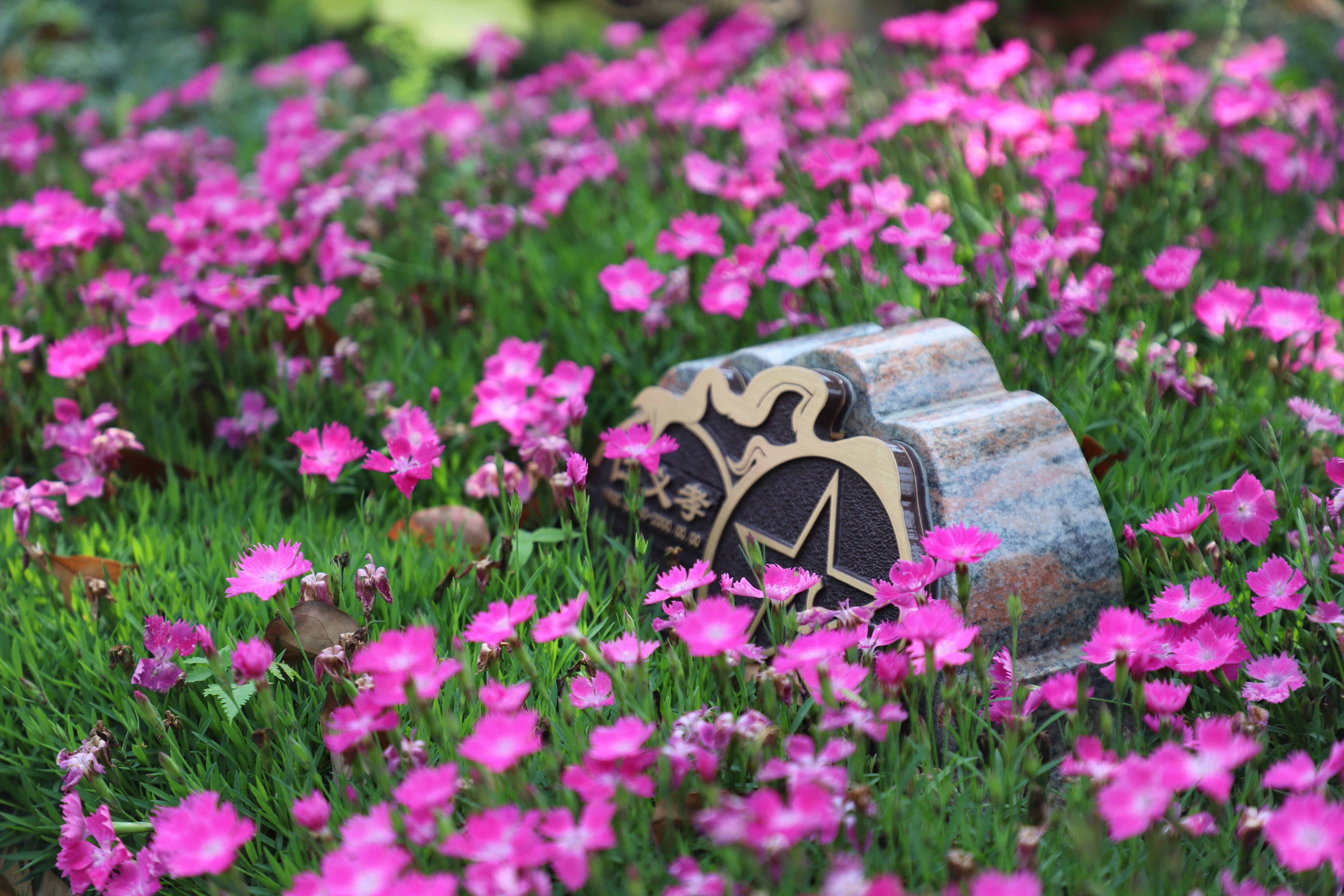 Ezpay钱包 -轻松支付,放心选择