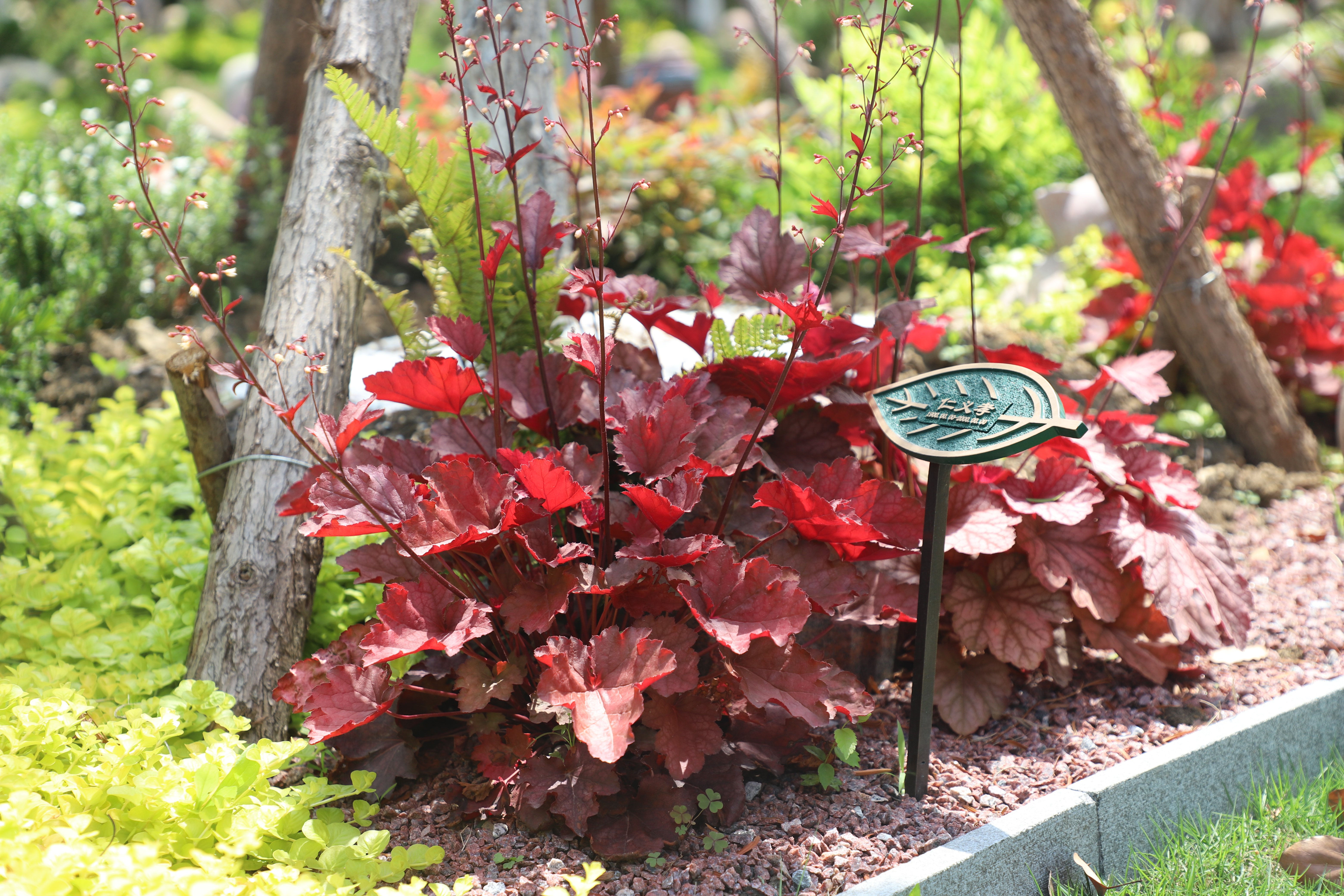 Ezpay钱包 -轻松支付,放心选择