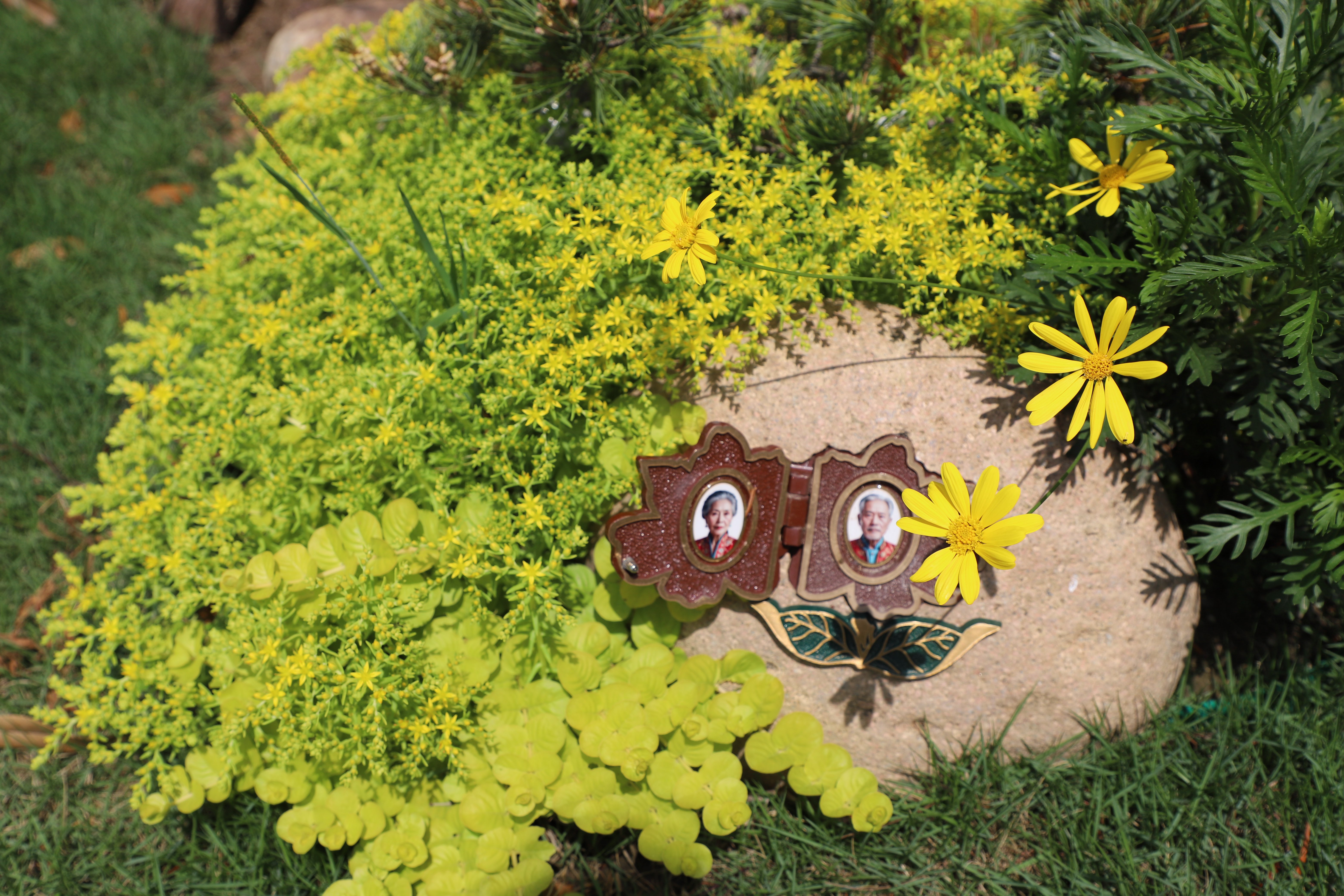 Ezpay钱包 -轻松支付,放心选择