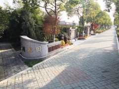 都会最后一平米：生态葬，，，是与自然的息争？？？照旧无奈的选择？？？